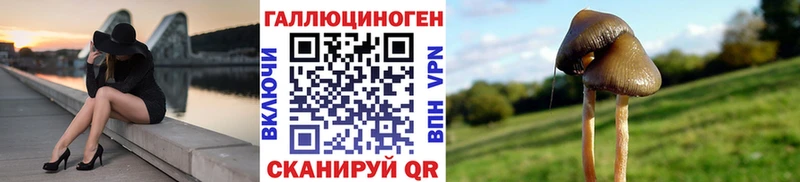 Псилоцибиновые грибы Magic Shrooms  Гаврилов Посад 